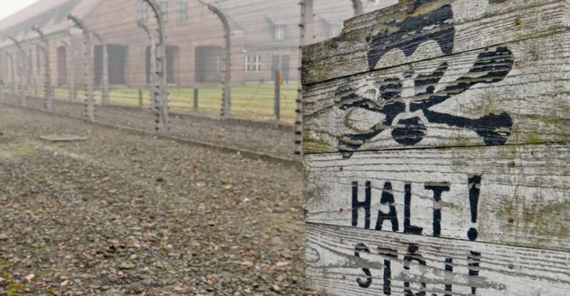 From Wrocław: Full-Day Auschwitz-Birkenau Guided Tour - Experience and Highlights