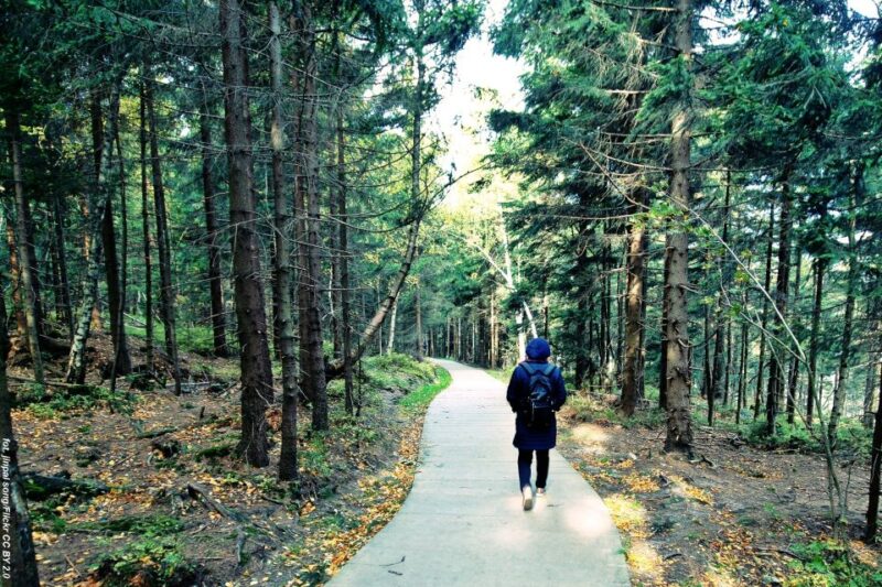 From Wroclaw: Full-Day Stolowe Mountains Trekking Tour - Booking Information