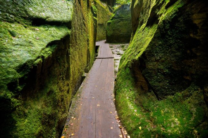 From Wroclaw: Hiking Trail in Rock City - Customer Feedback and Ratings