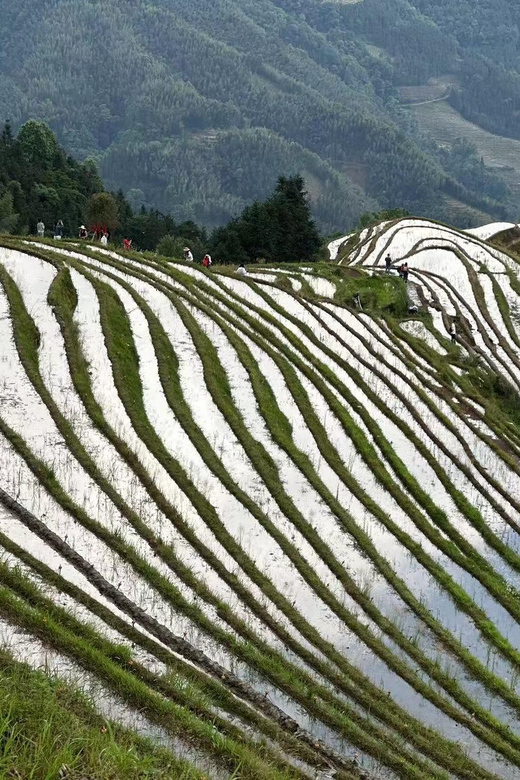 From Xian: 13-DAY Private Tour to Guilin With Flights - Included Services