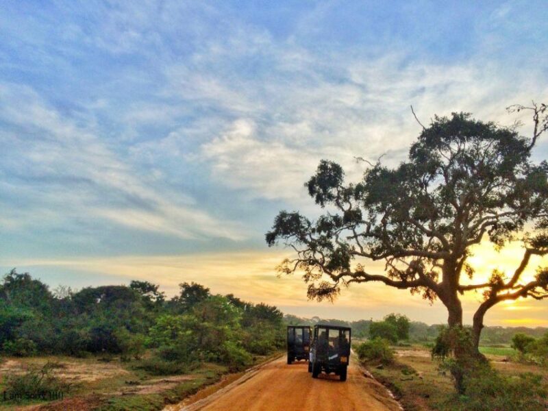 From Yala: Full-Day Private Leopard Safari With Lunch - Pricing Details