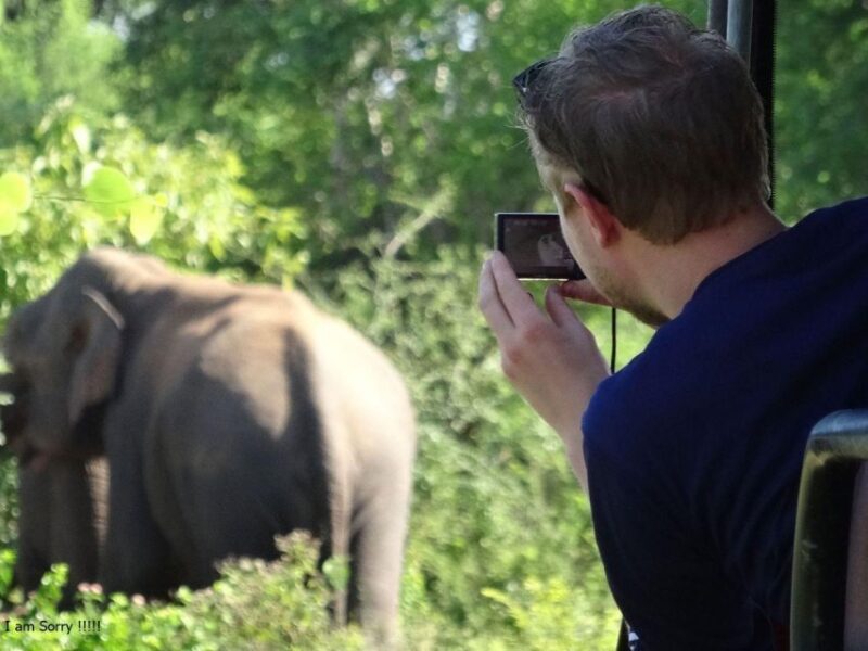 From Yala: Full-Day Private Leopard Safari With Lunch - Wildlife Highlights
