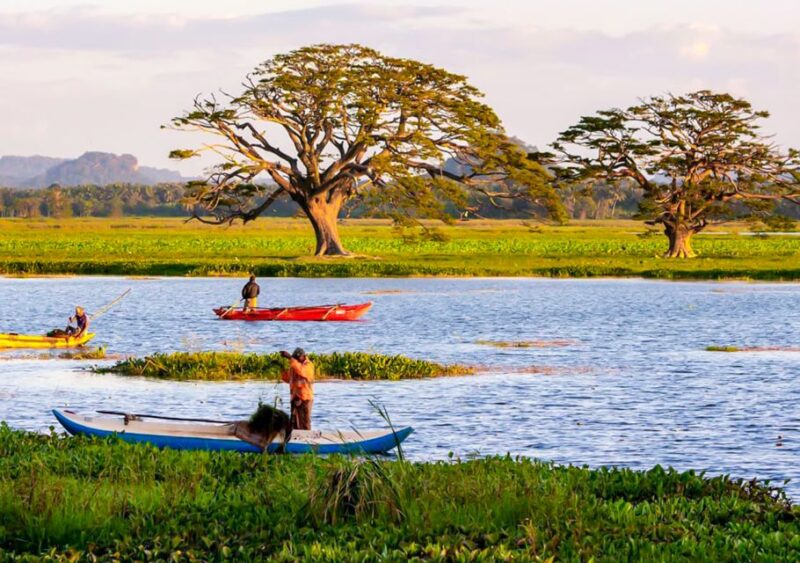 From Yala: Sunset Lake Boat Tour and Beach BBQ Dinner - Tour Departure and Duration