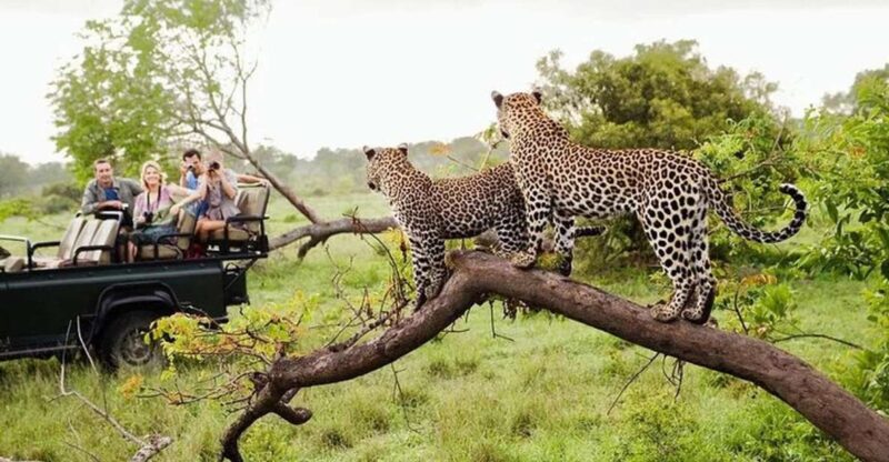 From Yala :- Yala National Park Thrilling Full - Day Safari - Itinerary and Experience