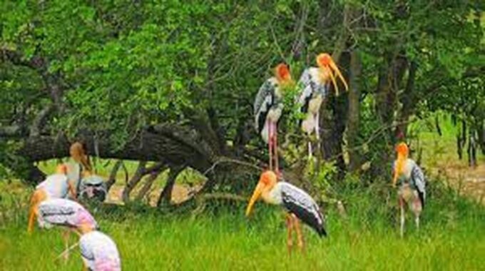 From Yala :- Yala National Park Thrilling Full - Day Safari - Booking and Cancellation Policy