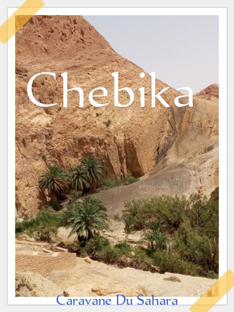 From Yasmine Hammamet/Kantaoui: 2-Day Sahara Tour With Meals - Language Options