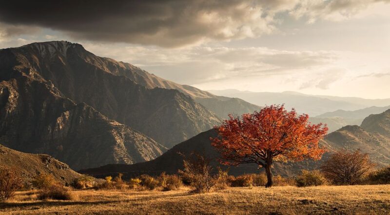 From Yerevan: Trekking and Wine Tasting Tour - Itinerary Highlights