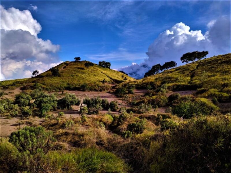 From Yogyakarta: 2 Days 1 Night Mount Merbabu Camping Trip - Key Points