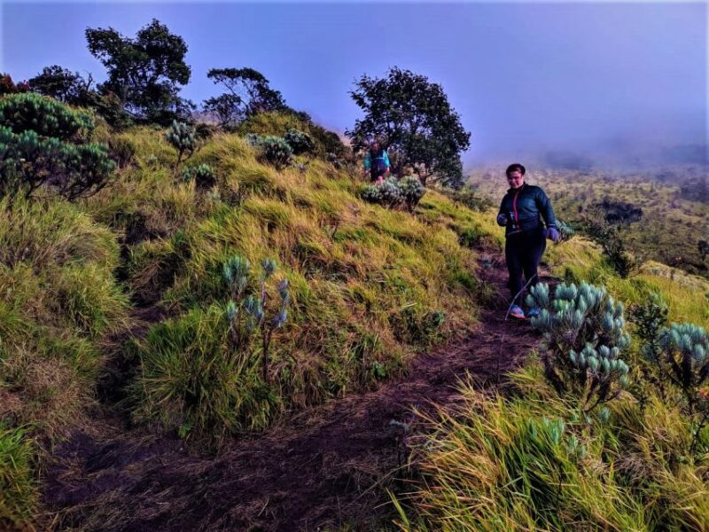 From Yogyakarta: 2 Days 1 Night Mount Merbabu Camping Trip - Itinerary Details