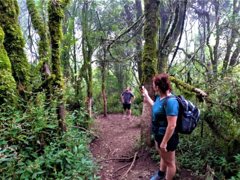 From Yogyakarta: 2 Days 1 Night Mount Merbabu Camping Trip - Day 2 Highlights