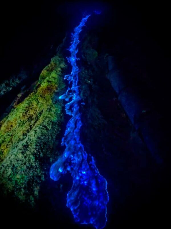 FROM YOGYAKARTA: 3D2N BROMO & IJEN VOLCANO - A Deep Dive into Java’s Volcanoes: The 3D2N Experience