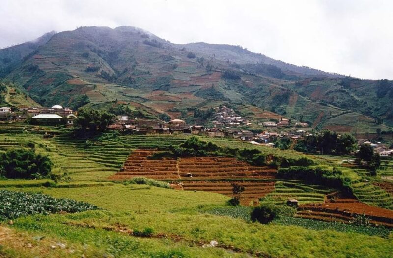 From Yogyakarta : Dieng Plateau Fullday Tour - Key Points