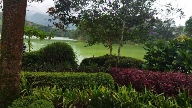 From Yogyakarta: Dieng Plateau Golden Sunrise With Guide - Itinerary and Experience