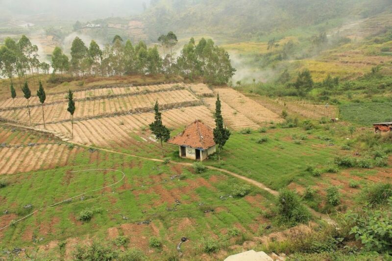 From Yogyakarta: Golden Sunrise Dieng Plateau Trip Full Day - Departure and Duration