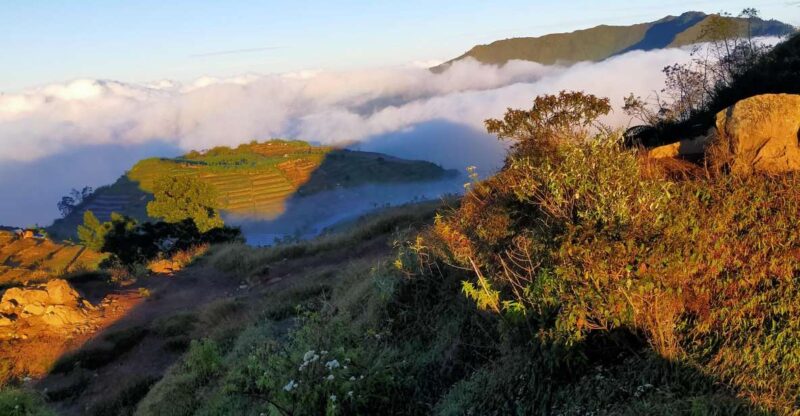 From Yogyakarta: Journey to the Beauty of Dieng With a Guide - Experience Details