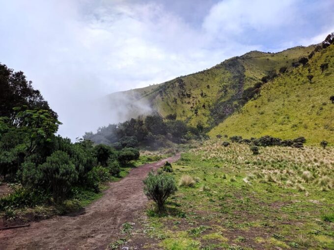 From Yogyakarta: Mount Merbabu One Day Hiking Tour - Preparation Essentials