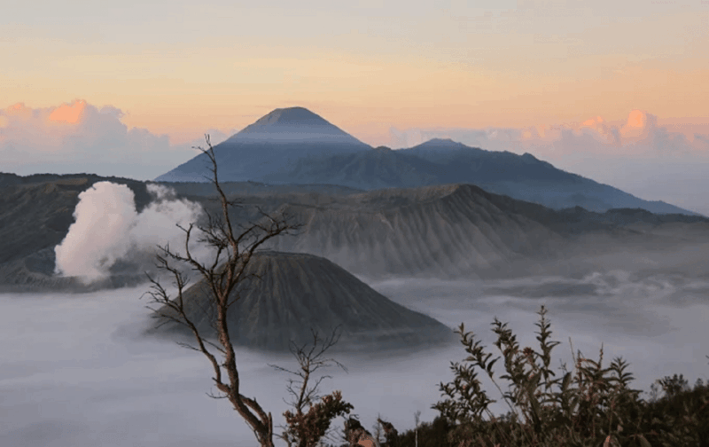 From Yogyakarta or Bali: 3-Day Journey to Bromo & Mount Ijen - Accommodations and Transfers