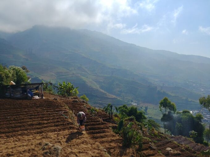 From Yogyakarta: The Beauty Of Dieng Guided Day Tour - Frequently Asked Questions