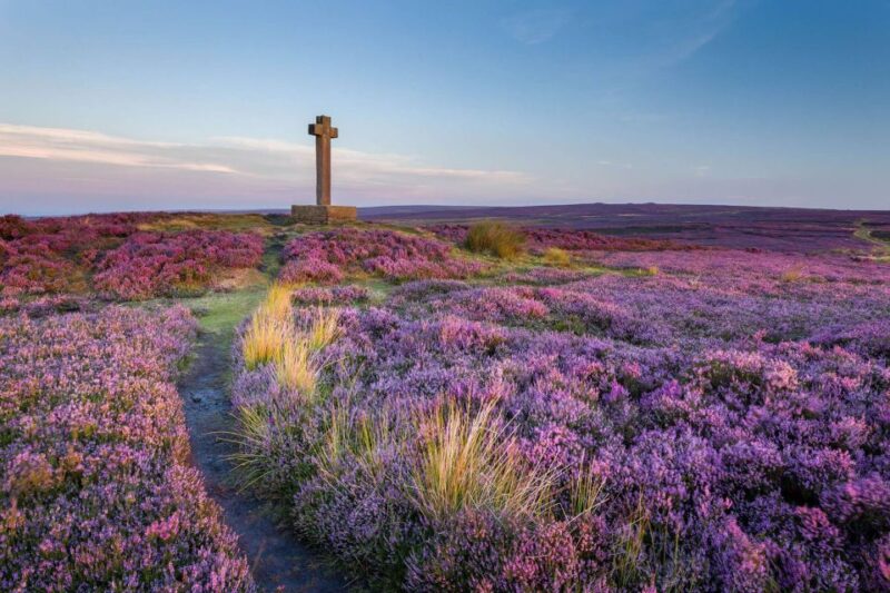 From York: Day Trip to Whitby and The North York Moors - Key Points