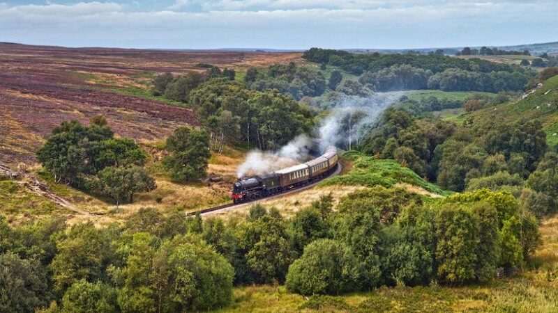 From York: Moors, Whitby, and the Yorkshire Steam Railway - Goathland and Heartbeat Filming Locations