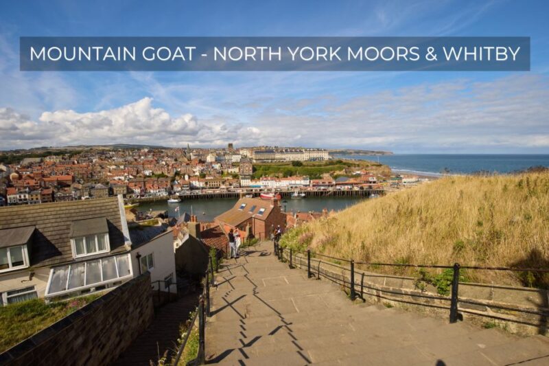 From York: North York Moors and Whitby Guided Tour - Itinerary and Highlights