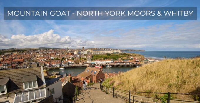 From York: North York Moors and Whitby Guided Tour - Fish and Chips in Whitby