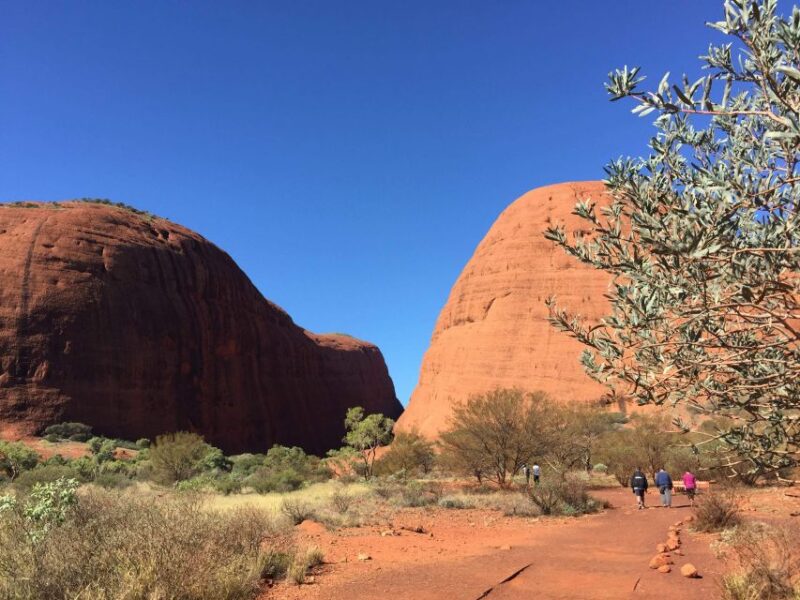 From Yulara: 3-Hour Small Group Kata Tjuta Afternoon Tour - Languages
