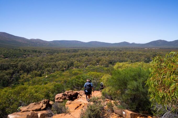 From Yulara: 8-Day Uluru to Adelaide Tour - Conservation Volunteering