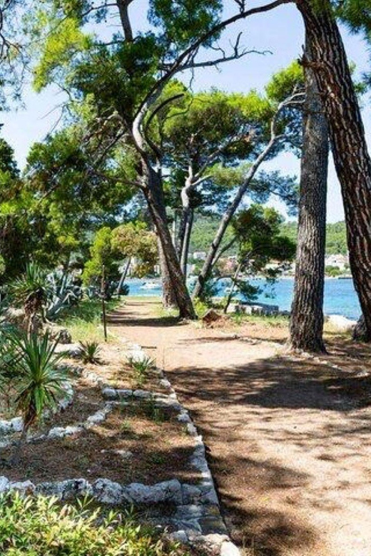From Zadar: 3-Island Speedboat Tour With Snorkeling & Drinks - Good To Know