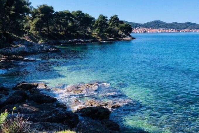 From Zadar: 3-Island Speedboat Tour With Snorkeling & Drinks - Customer Feedback