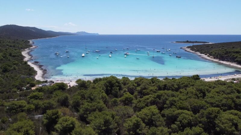 From Zadar: Full-Day Boat Trip to Sakarun Beach & Dugi Otok - Customer Feedback and Ratings