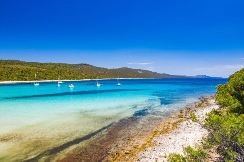 From Zadar: Full Day Trip to Saharun Beach by Private Boat - Experience Highlights
