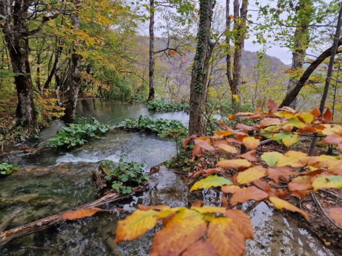 From Zadar: Plitvice Lakes Day Tour With Boat Ride - Frequently Asked Questions
