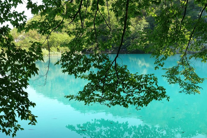 From Zadar: Plitvice Lakes Guided Day Tour With Tickets - Zadar Walking Tour