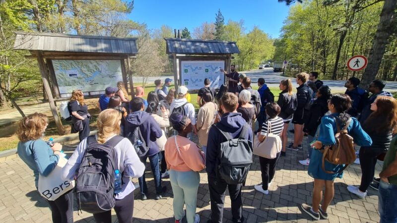 From Zadar: Plitvice Lakes Guided Tour With Boat & Train - Customer Reviews Summary