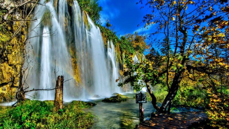 From Zadar: Plitvice Lakes National Park Tour - Customer Reviews and Feedback