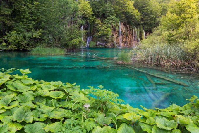 From Zadar: Plitvice Lakes Private Round-Trip Transfer - Customer Testimonial