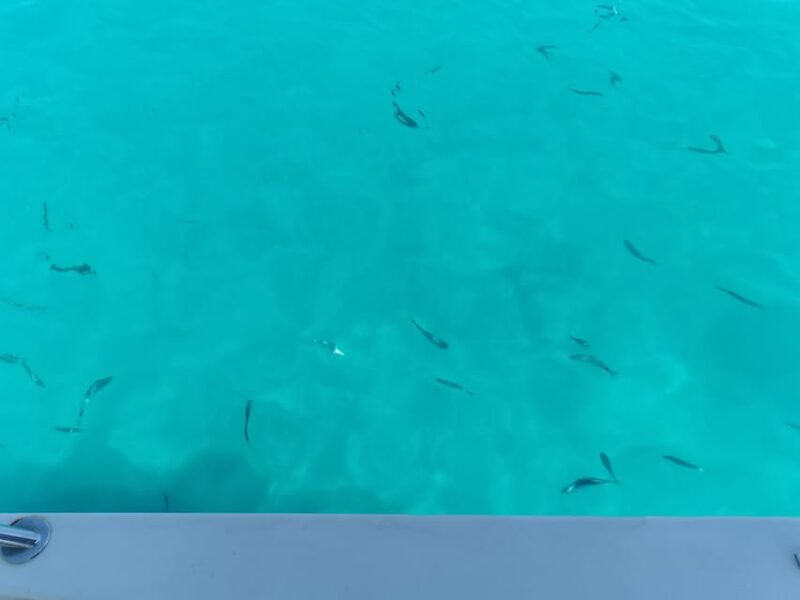 From Zadar: Sakarun Beach Private Speed Boat Tour - Tour Inclusions