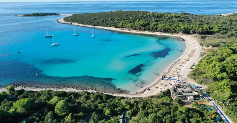 From Zadar: Sakarun Beach Private Speed Boat Tour - Activities