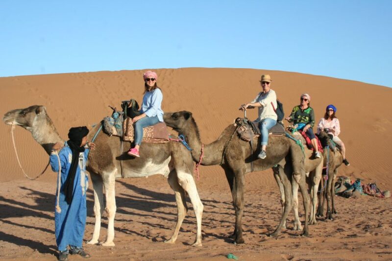 From Zagora: 2-Day Desert Tour to Erg Chegaga - Key Points