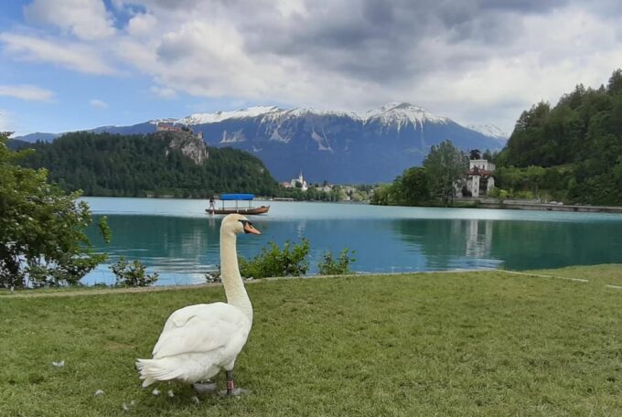 From Zagreb: Day Trip to Lake Bled and Ljubljana - Itinerary Changes