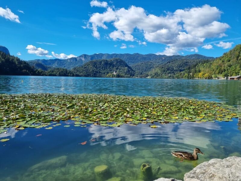 From Zagreb: Highlights Day Tour to Bled and Ljubljana - Itinerary Highlights