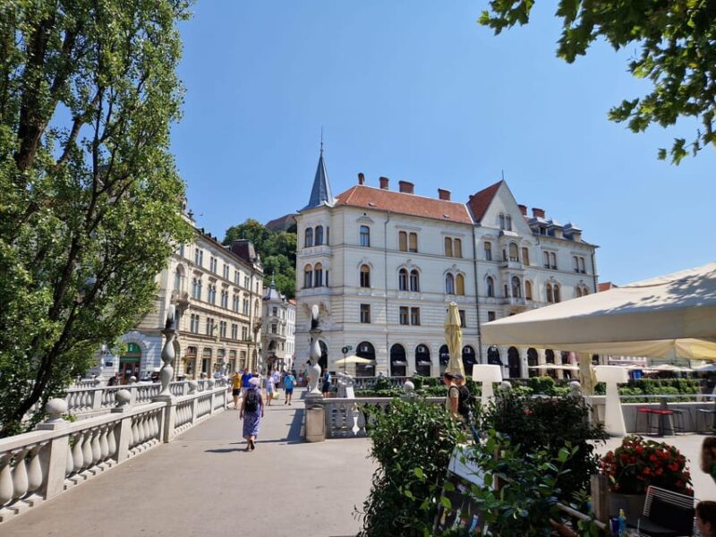 From Zagreb: Highlights Day Tour to Bled and Ljubljana - Inclusions and Optional Activities