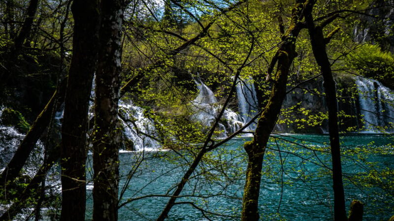 From Zagreb: Plitvice Lakes National Park Full-Day Tour - Customer Feedback