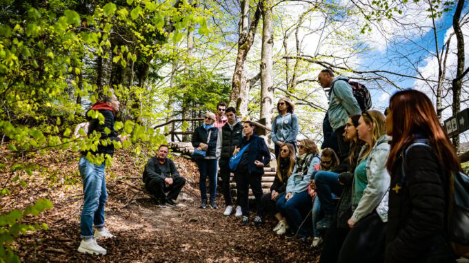 From Zagreb: Plitvice Lakes National Park Full-Day Tour - Lunch Stop