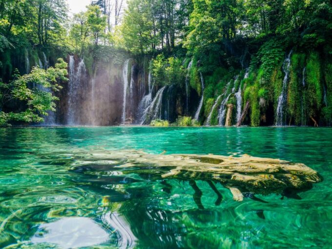 From Zagreb: Plitvice & Rastoke Guided Day Trip With Ticket - Customer Feedback and Ratings