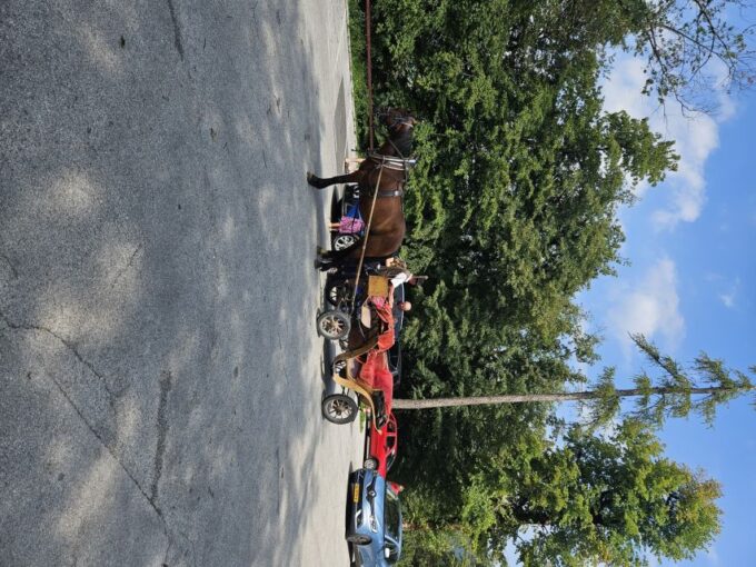 From Zagreb to Bled Lake Slovenia Day Trip - Preparation and Essentials