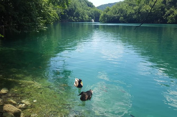 From Zagreb to Split or Trogir: Private Transfer With Plitvice Lakes - Benefits of Private Transfers