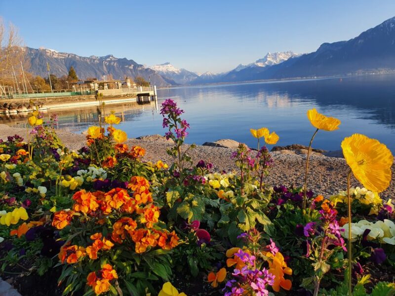 From Zurich: 8-Day Tour to Geneva With Tickets and Lodging - Included Experiences