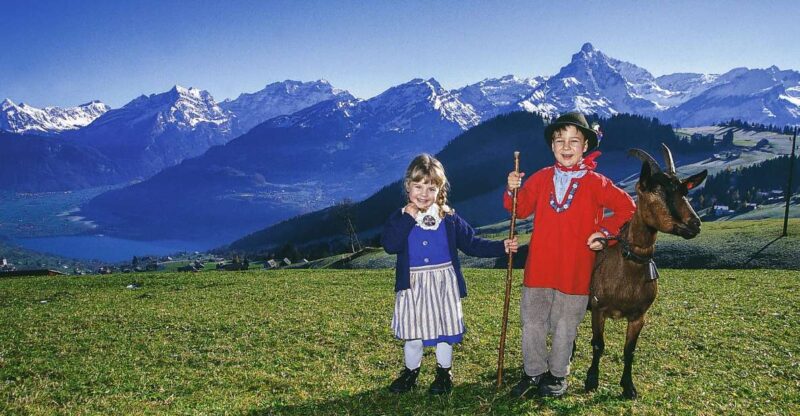 From Zurich: Bus Day Trip to Heidiland and Liechtenstein - Duration and Included Services